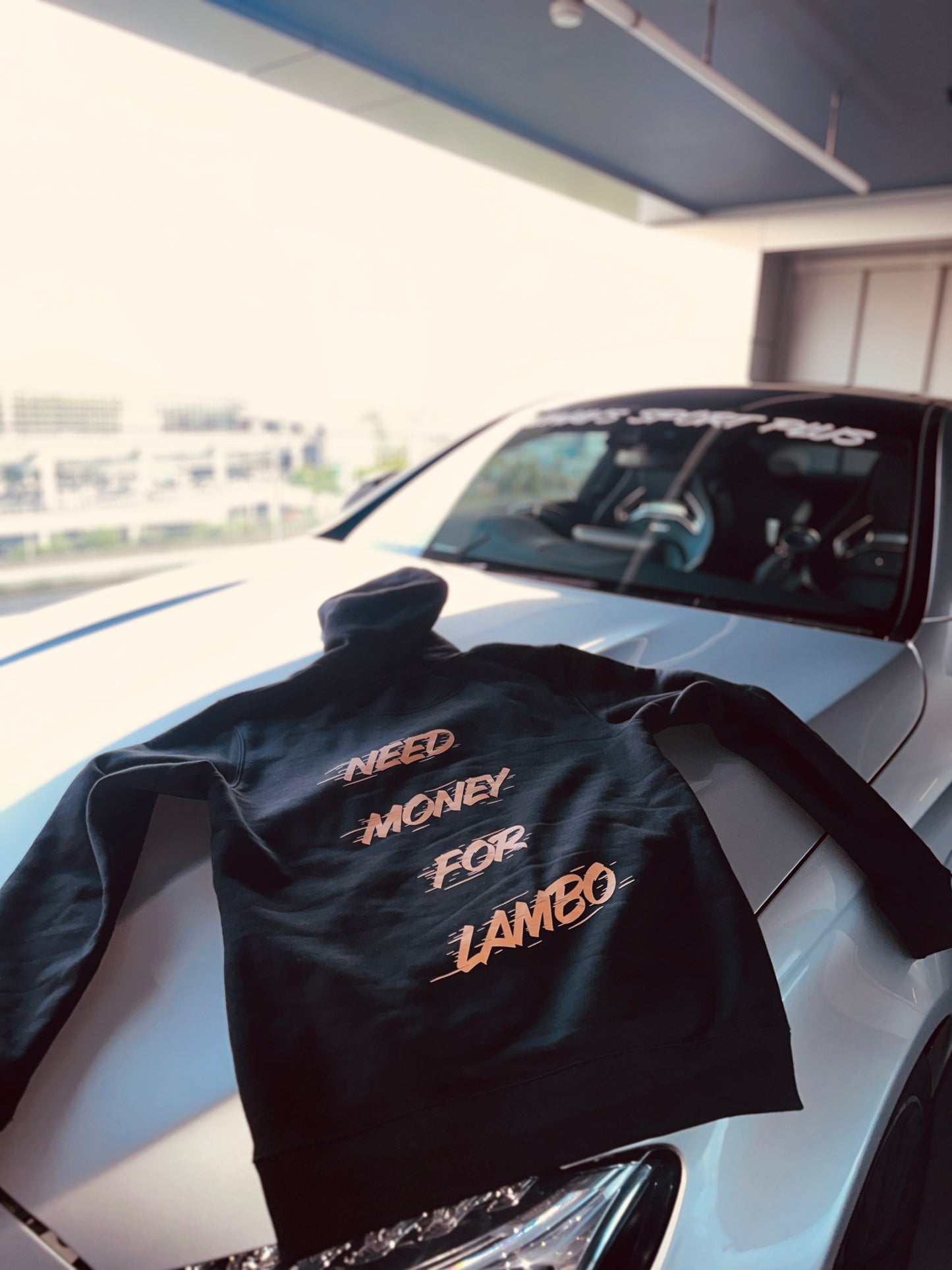 'Need Money For Lambo' ASP Hoodie